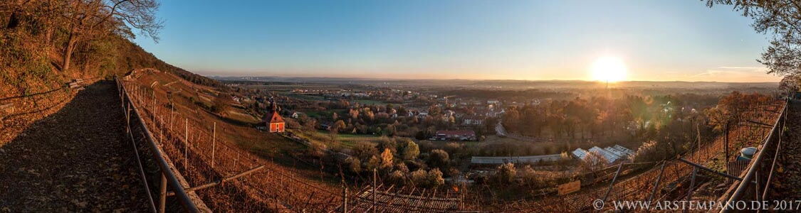 Weinberg in Pillnitz
